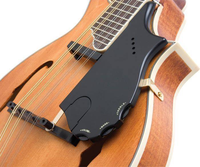 Epiphone FStyle Professional Deluxe Electric/Acoustic Mandolin Long