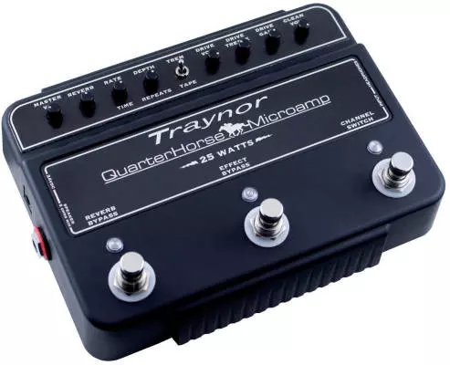 Quarter Horse 25 Watt Micro Amp