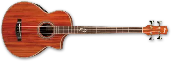 EWB30 Exotic Acoustic Bass