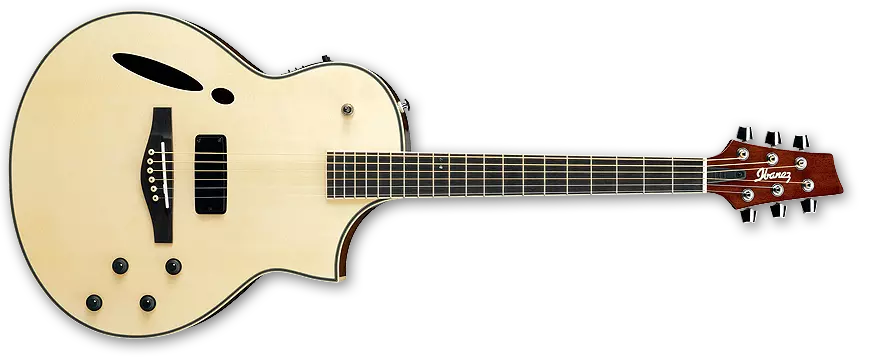 MSC350 Montage Acoustic/Electric Hybrid - Natural