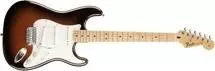 Standard Stratocaster - Maple Neck in Copper Metal Burst