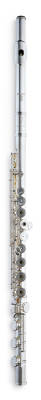 AF900 -Sterling Silver Flute