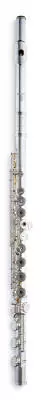 AF900 -Sterling Silver Flute - French Arms C#/D#
