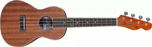 Ukulele Mino\'Aka - Concert