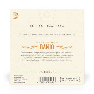 EJ63i - Irish Tenor Banjo String Set, Nickel, 12-36