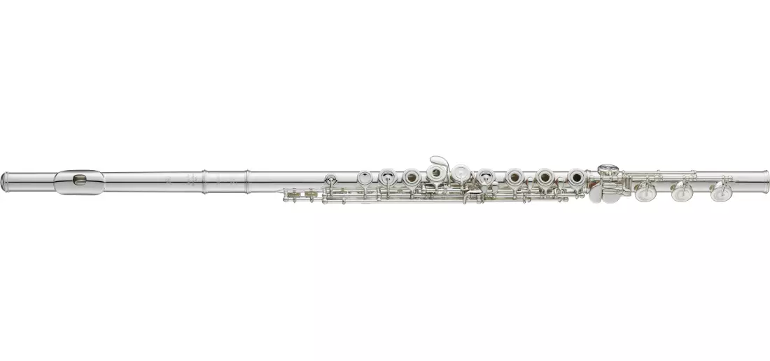 Professional Flute - Offset G, C# Trill, Split E, B-Footjoint