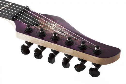 C-6 Pro Electric Guitar - Aurora Burst