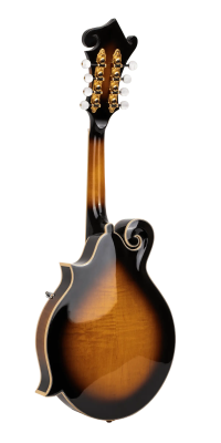 Gold Tone GM-70+ Solid Wood F-Style Mandolin With Case