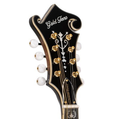 GM-70+ Solid Wood F-Style Mandolin with Case