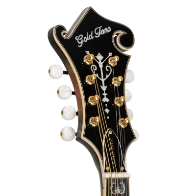 GM-70+ Solid Wood F-Style Mandolin with Case