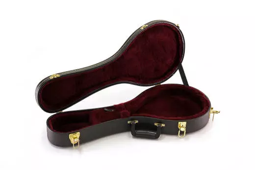 Mandolin Case - A Style