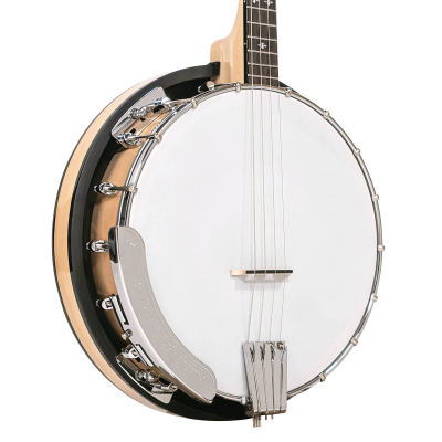 Cripple Creek 4-String Irish Tenor Banjo with Resonator