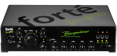 Bergantino - Forte HP Bass Amplifier