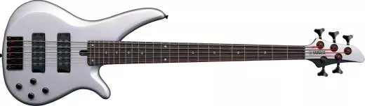 RBX375 5 String Bass - Flat Silver