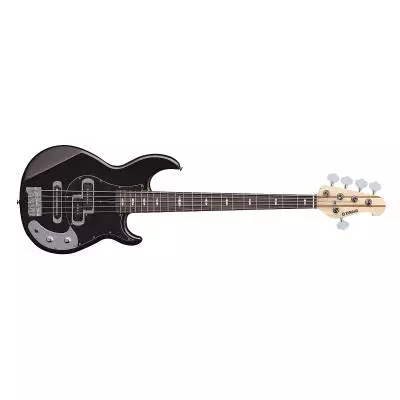 BB425X Passive 5 String Bass - Black