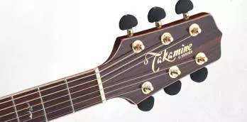 EG350SC - G Series Dreadnought Acoustic/Electric