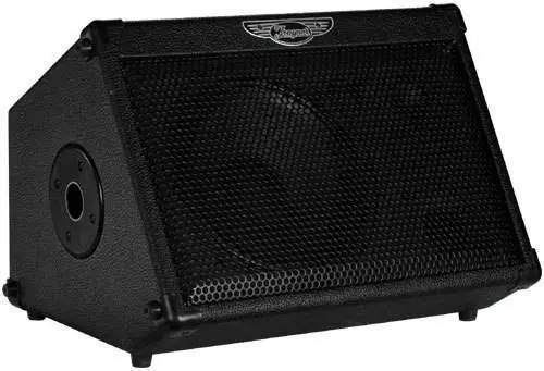 Travel Mate 2-Channel, 50 Watt A/C-Powered Wedge Amp