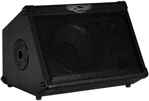 Travel Mate 2-Channel, 50 Watt A/C-Powered Wedge Amp
