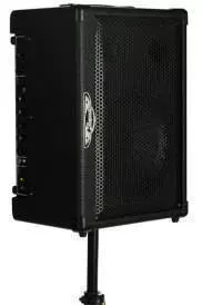 Travel Mate 2-Channel, 50 Watt A/C-Powered Wedge Amp