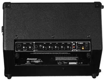 Travel Mate 2-Channel, 50 Watt A/C-Powered Wedge Amp