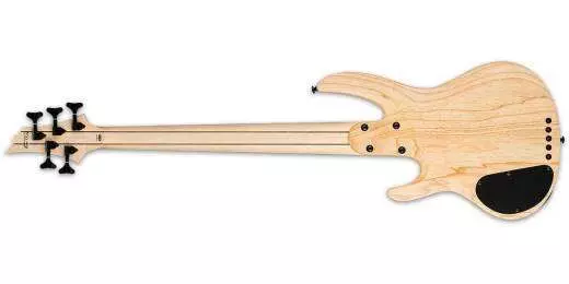 LTD RB-1005SM Basse � 5 cordes - Natural Satin