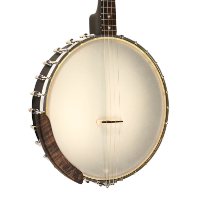 17 Fret Irish Tenor Banjo w/Bag