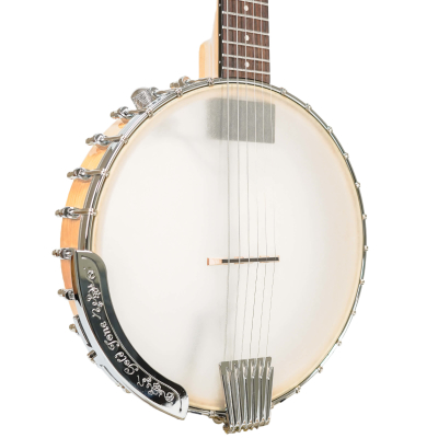 BT-1000 6-String Banjo/Guitar with Gig Bag