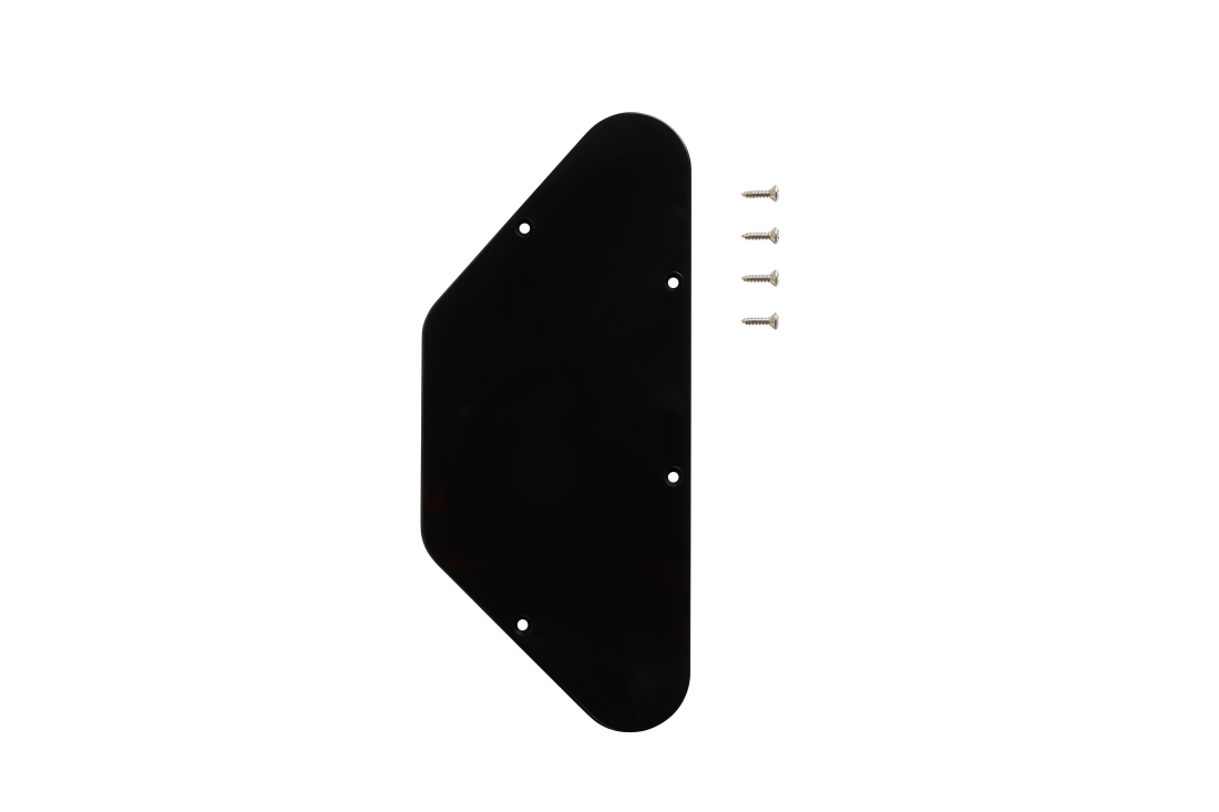 Back Control Cover Plate for SG Standard - Black