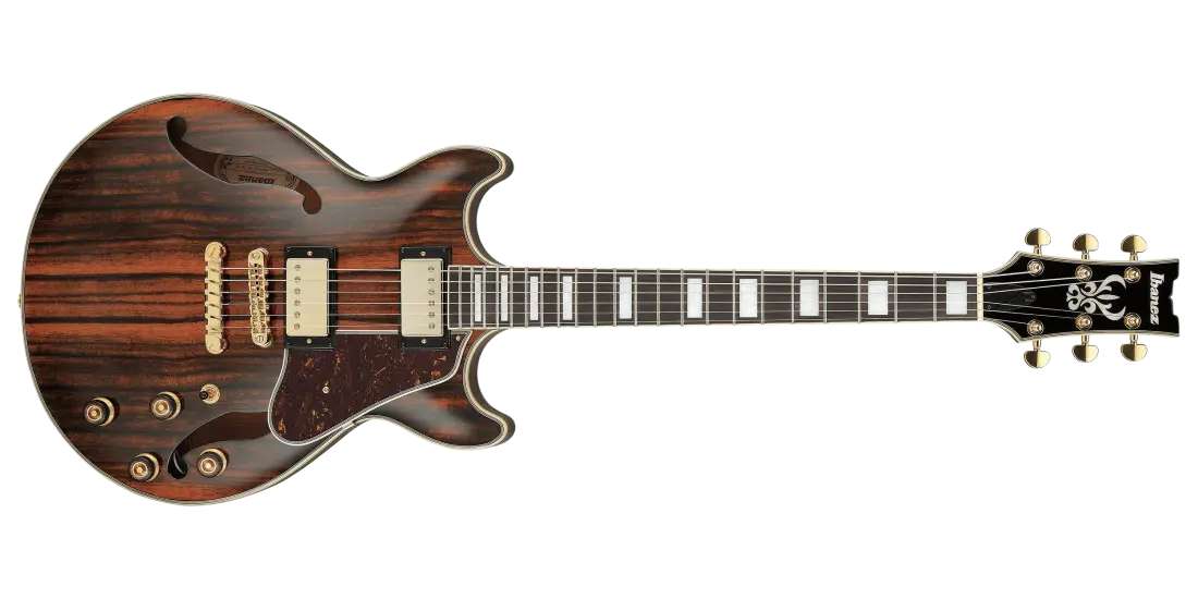 AM93ME Artcore Expressionist Hollow Body Electric Guitar - Natural Ebony