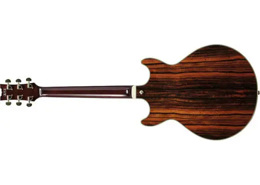 AM93ME Artcore Expressionist Hollow Body Electric Guitar - Natural Ebony