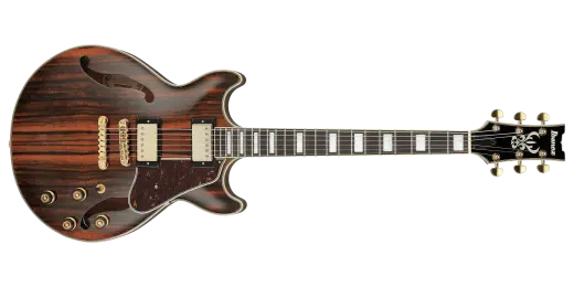 Ibanez - AM93ME Artcore Expressionist Hollow Body Electric Guitar - Natural Ebony