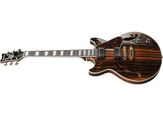 AM93ME Artcore Expressionist Hollow Body Electric Guitar - Natural Ebony