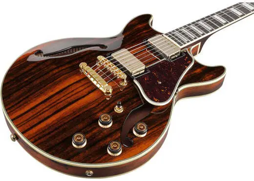 AM93ME Artcore Expressionist Hollow Body Electric Guitar - Natural Ebony