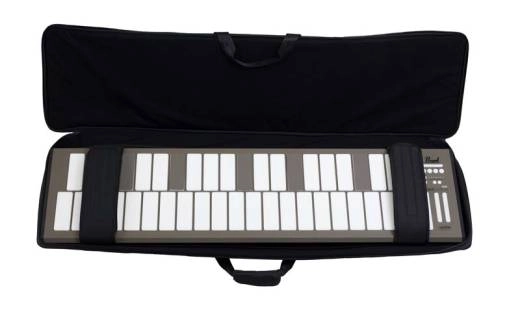 Padded Gig Bag for MalletSTATION