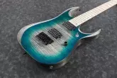 RGD61AL Axion Label Electric Guitar - Stained Sapphire Blue Burst