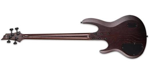 LTD B-1004 Multi-Scale Bass - Natural Satin Ziricote