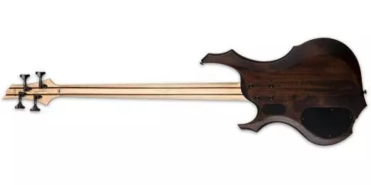 LTD F-204FM Bass - Walnut Brown Satin