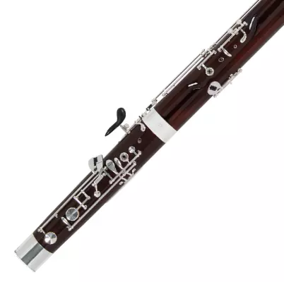 Renard Artist Model 220 Bassoon