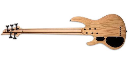 LTD B-205SM Fretless 5-String Bass - Natural Satin