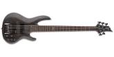 ESP Guitars - LTD B-205SM 5-String Bass - See Thru Black Satin