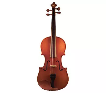 Violin Outfit - w/Carbon Bow - 4/4