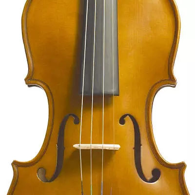 Student I Violin Outfit 3/4