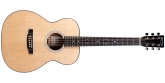 Martin Guitars - 000Jr-10 Auditorium Acoustic Guitar w\/Gig Bag