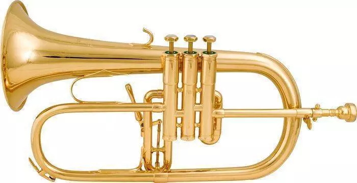 Bb Flugelhorn