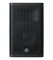 DXR10-MKII 10'' 2-Way 1100W Bi-Amp Powered Speaker