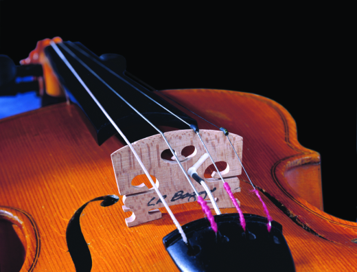 L.R Baggs - Violin Pickup with Carpenter Jack