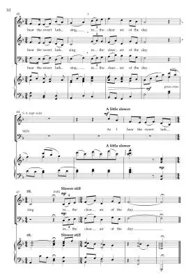 Danny Boy and Other Classic Irish Melodies - L\'Estrange - SAB