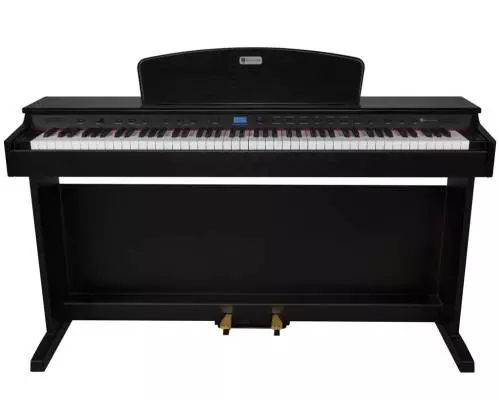 Rhapsody 2 88-Key Digial Piano - Ebony Matte