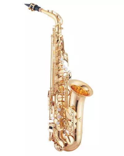 567GL - Alto Sax Outfit