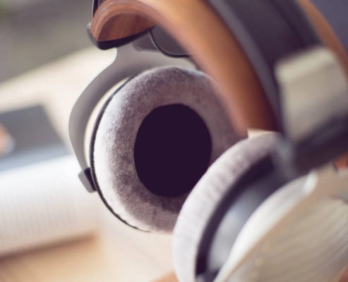 DT990 Premium 600 Ohm Open Studio Headphones